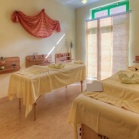 Hotel Sport- & Vital-resort Neuer Hennings Hof 4*